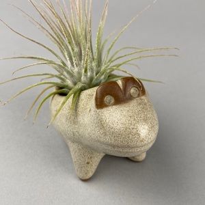 Vintage David Stewart Mid-Century Ceramic Frog Planter Lions Valley Stoneware